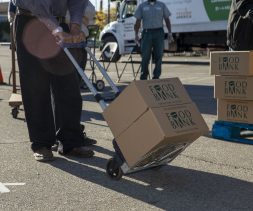 walk-up food distribution