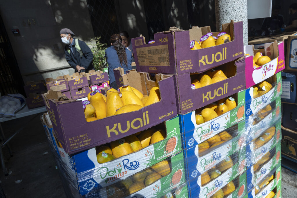 Distribution of mangoes at Immanuel Presbyterian Church in Koreatown.