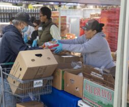 At a food distribution event, volunteers, donning masks, distribute items from boxes under a canopy. A recipient with a shopping cart collects goods, reminiscent of food pantries’ efforts. Numerous cardboard boxes are neatly arranged on tables.