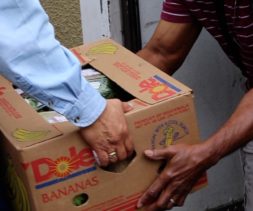 Hands-box-food-distribution